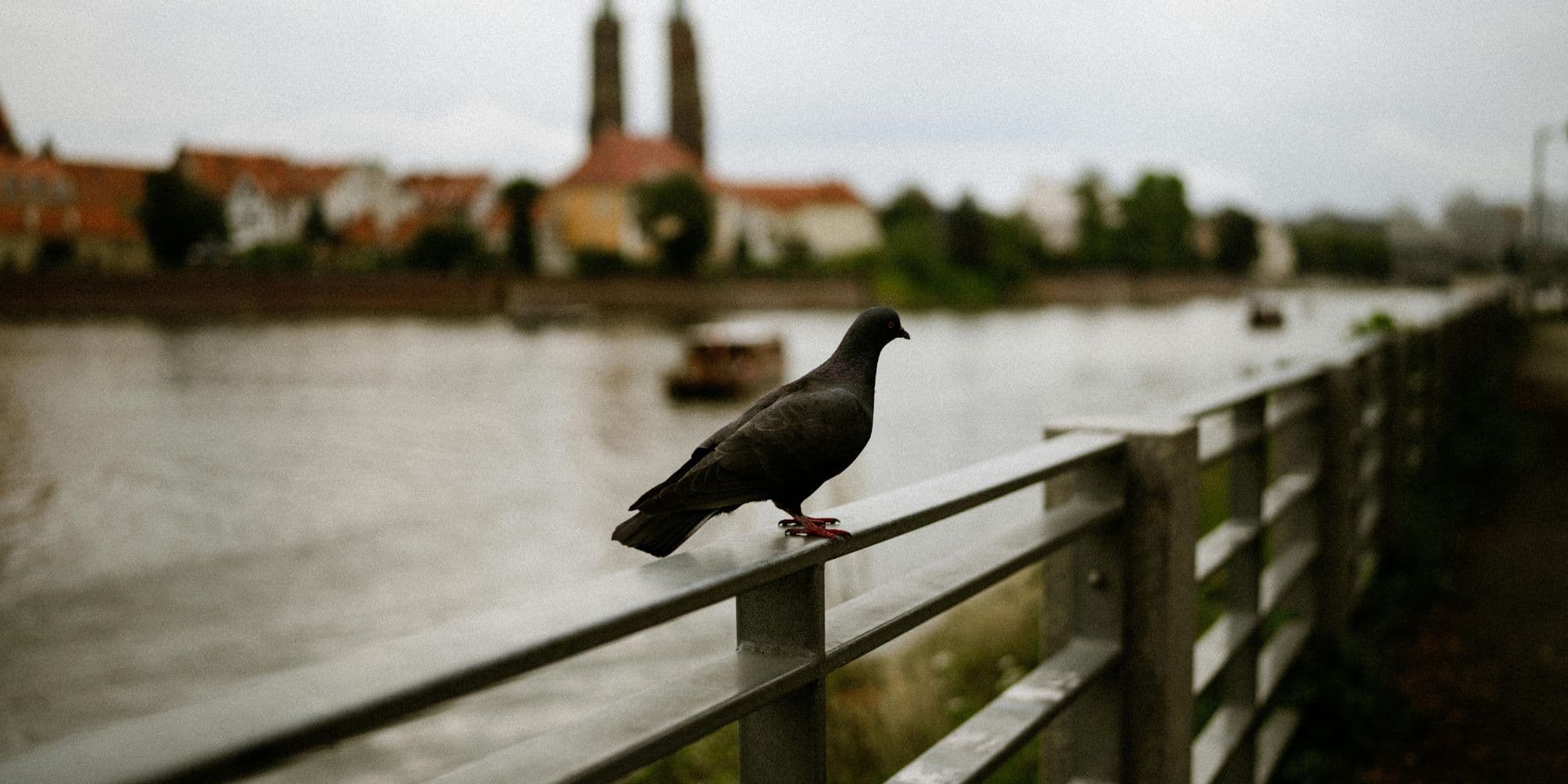 Cover Image for Catatan Satu Dekade